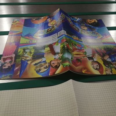 LD1050B Máquina de encadernação de livros de exercícios semiautomática concebida para encadernação de grandes volumes